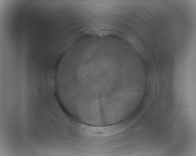 X0000075920030200609291836