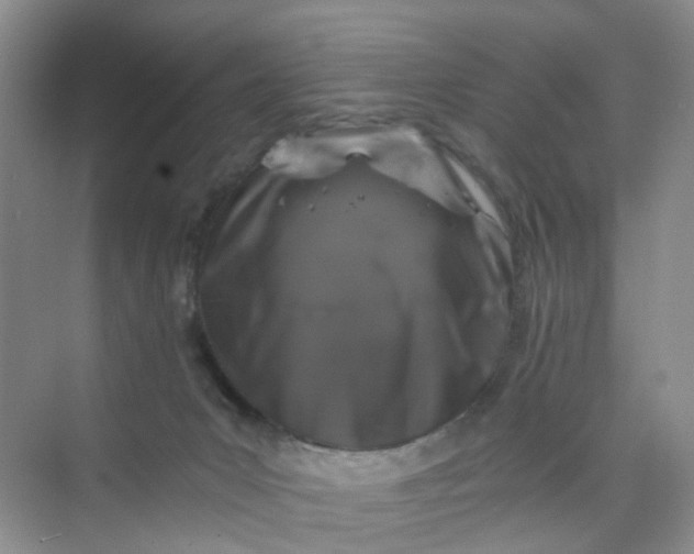 X0000075920031200609291836