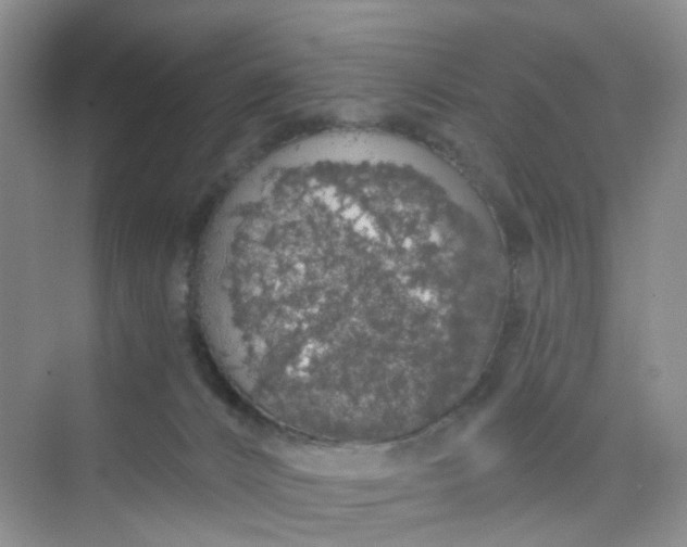 X0000075920032200609291836