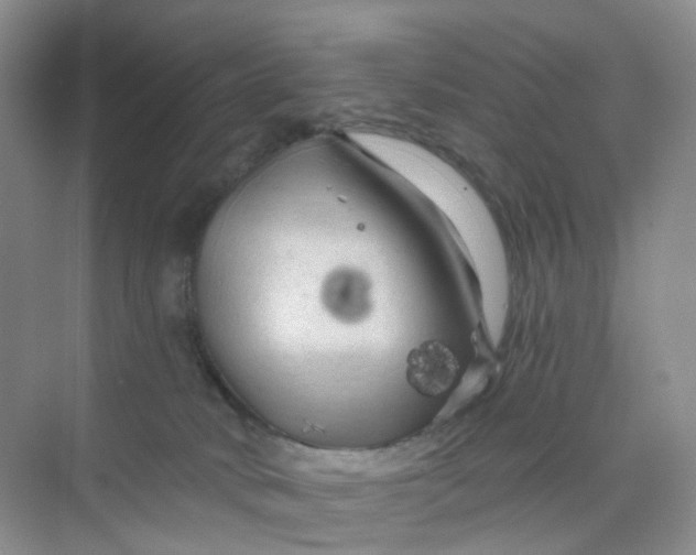 X0000075920034200609291836