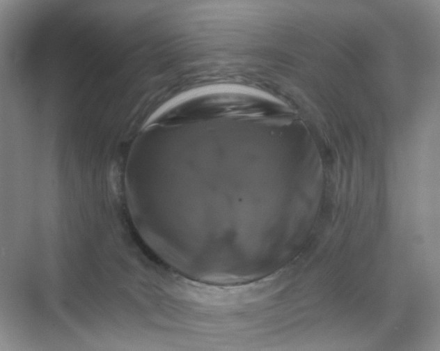 X0000075920035200609291836