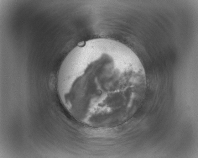 X0000075920036200609291836