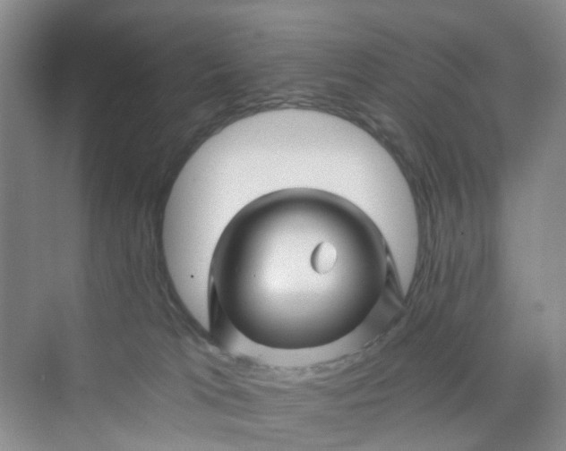 X0000075920037200609291836