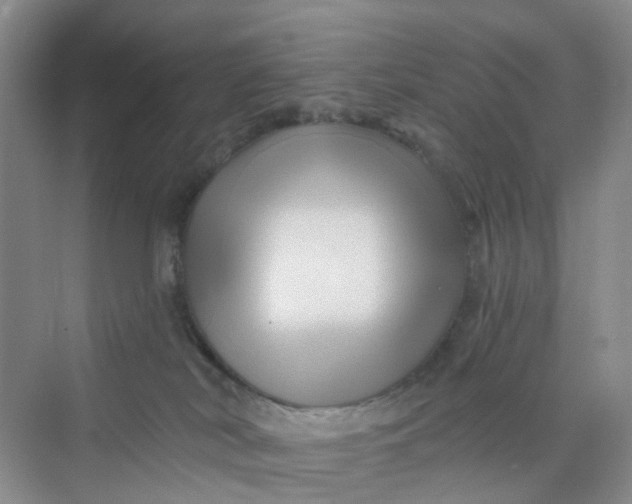 X0000075920038200609291836