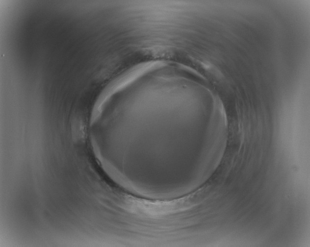 X0000075920039200609291836