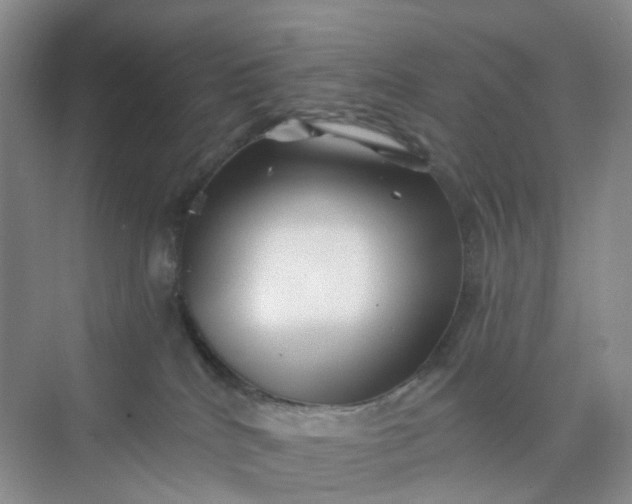 X0000075920040200609291836