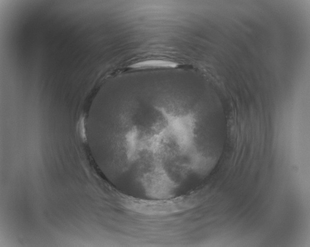 X0000075920042200609291836