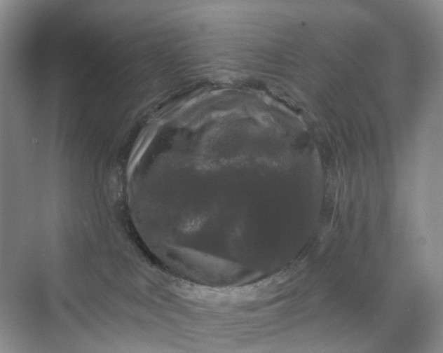 X0000075920043200609291836