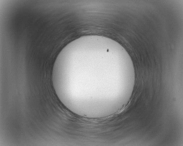 X0000075920045200609291836