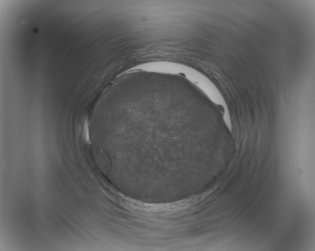 X0000075920046200609291836