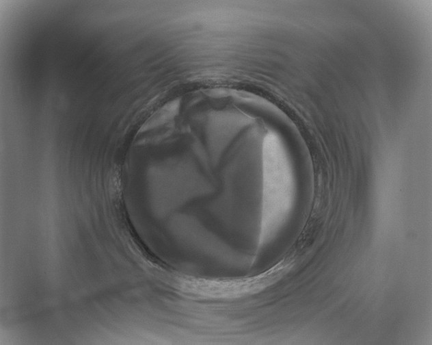 X0000075920048200609291836