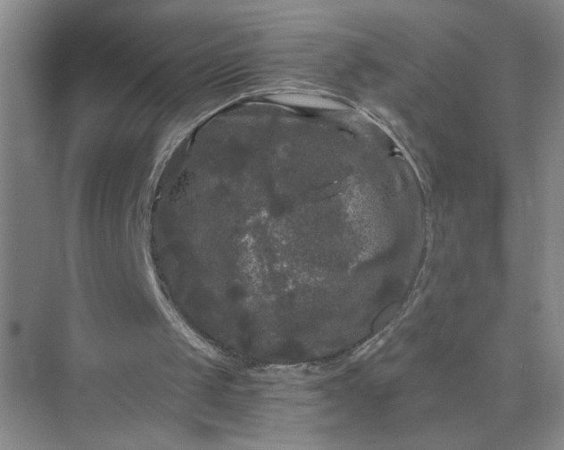 X0000075920049200609291835