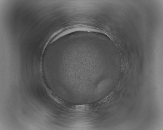 X0000075920050200609291835