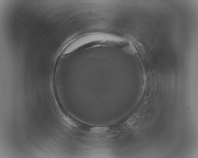 X0000075920051200609291835