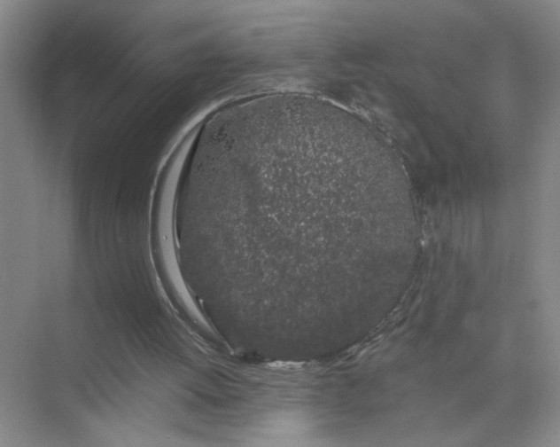 X0000075920052200609291835