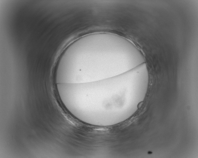 X0000075920053200609291835