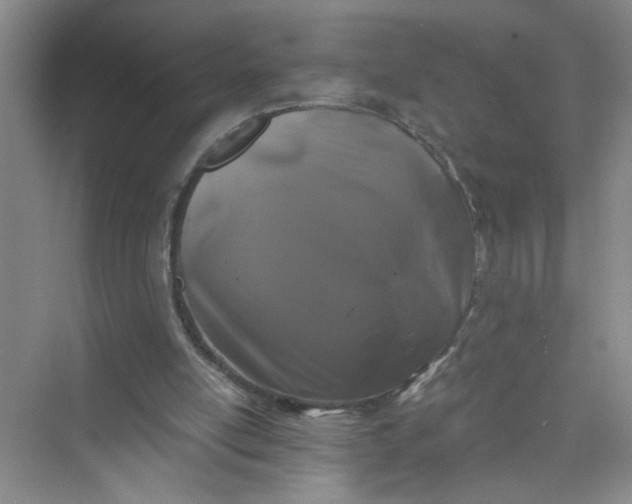 X0000075920054200609291835