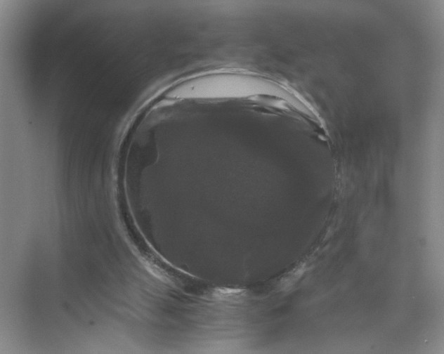 X0000075920055200609291835