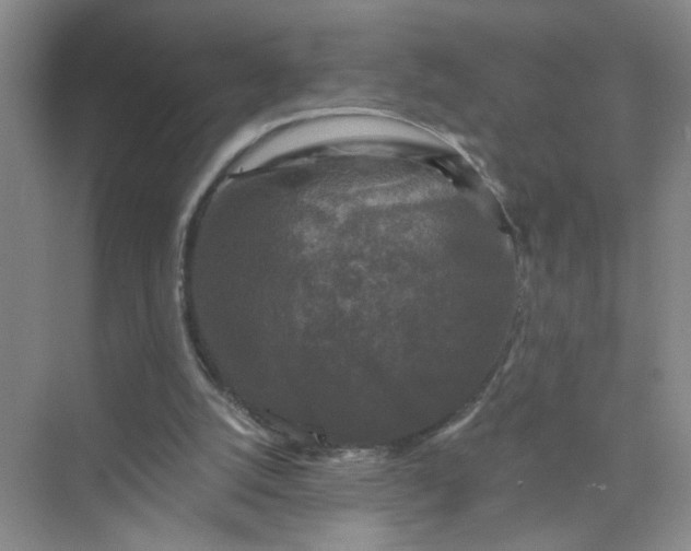 X0000075920056200609291835