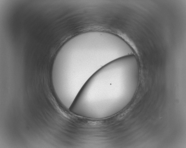 X0000075920057200609291835