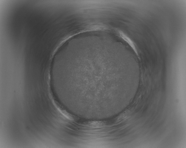 X0000075920059200609291835