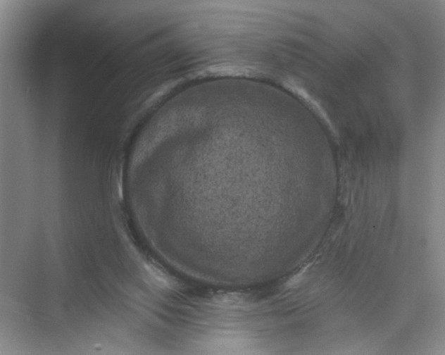 X0000075920062200609291835