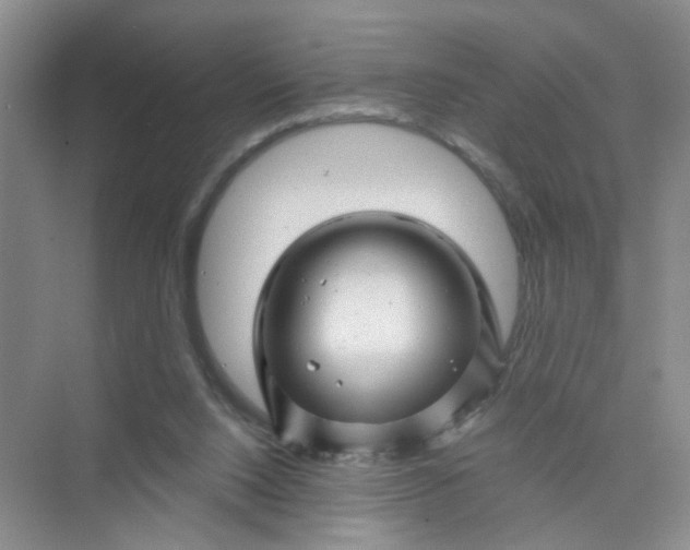 X0000075920064200609291835