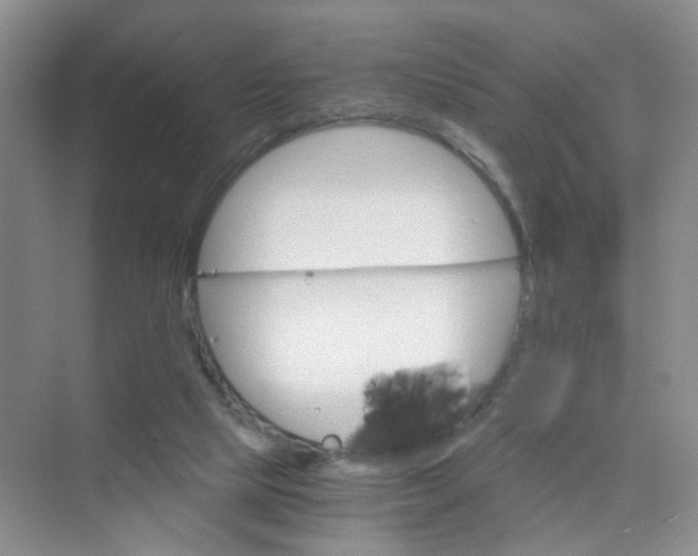 X0000075920065200609291835