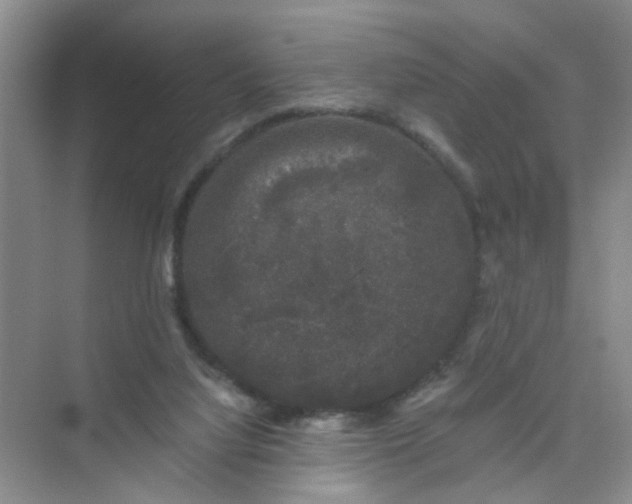 X0000075920068200609291835