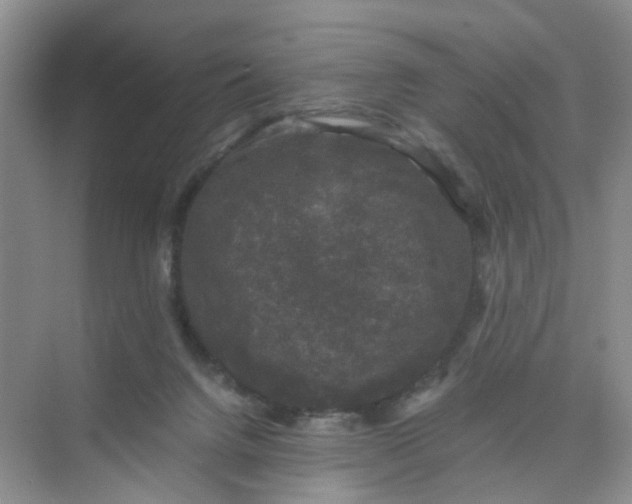 X0000075920072200609291835