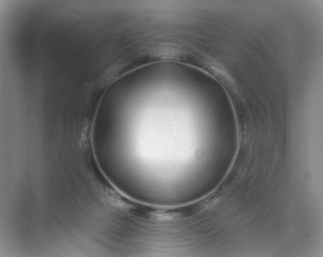 X0000075920073200609291835