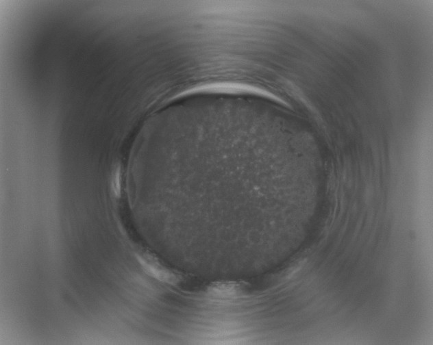 X0000075920076200609291835