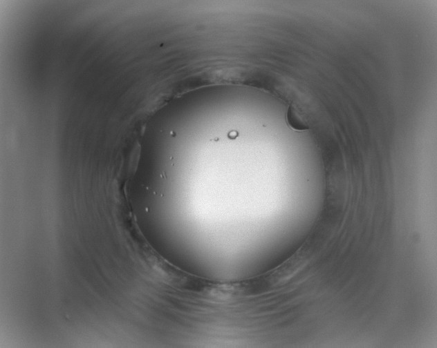 X0000075920079200609291835