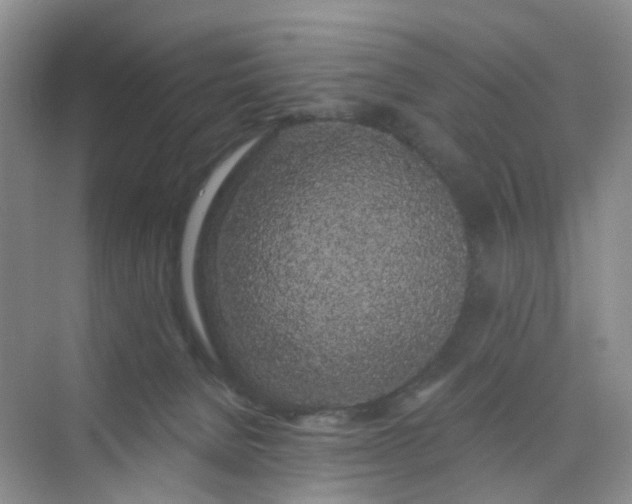 X0000075920080200609291835