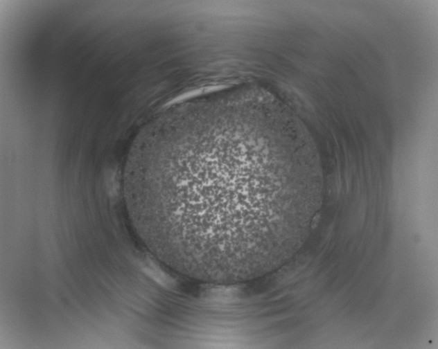 X0000075920081200609291835