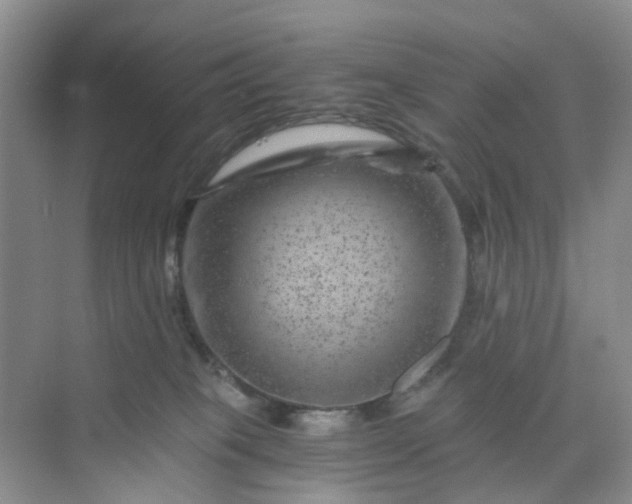 X0000075920085200609291835