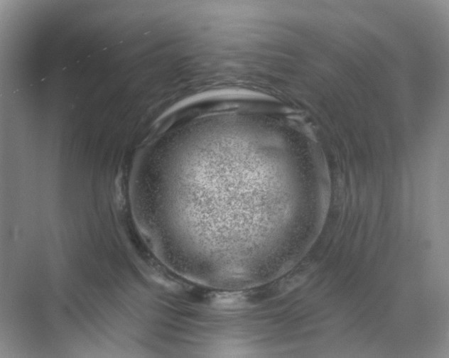 X0000075920088200609291835