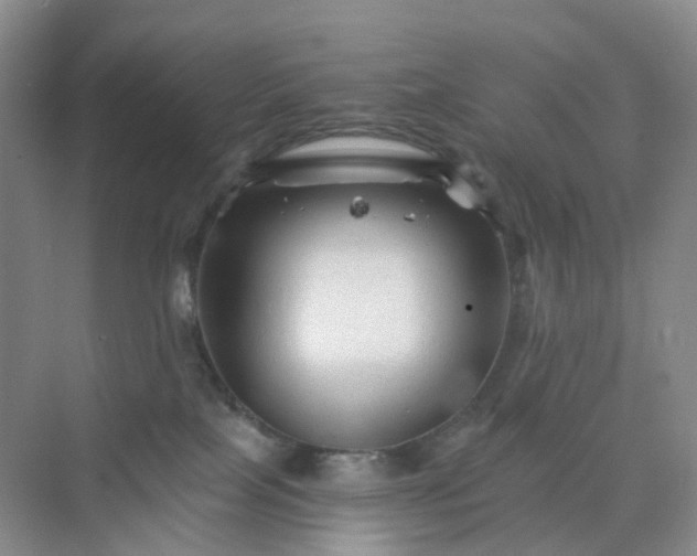 X0000075920089200609291835