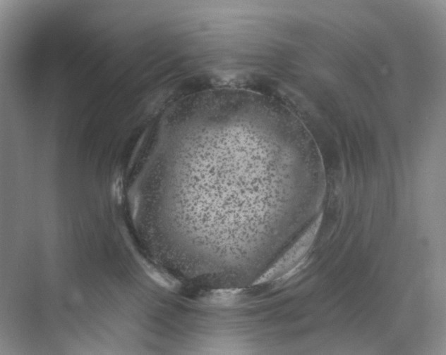 X0000075920090200609291835