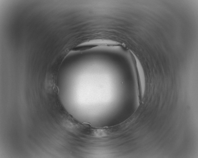 X0000075920091200609291835