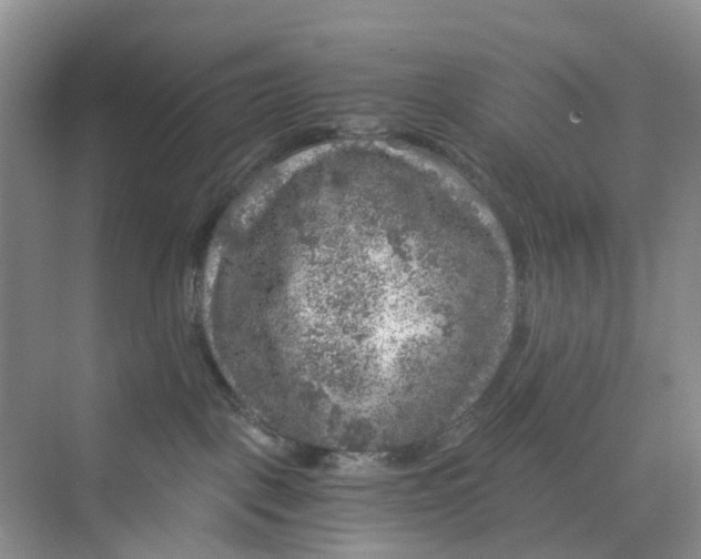 X0000075920093200609291836