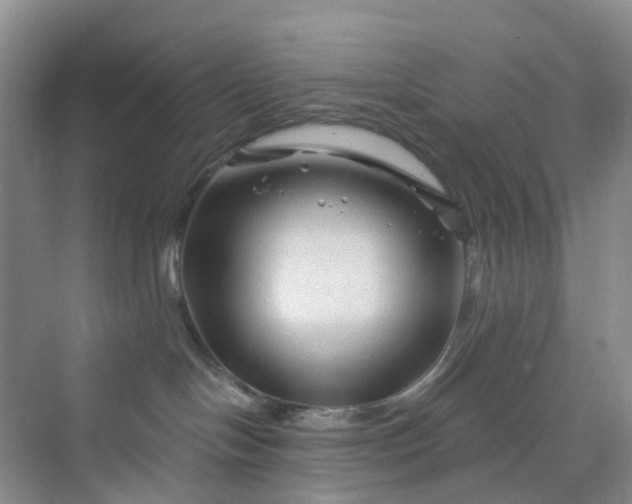 X0000075920094200609291836