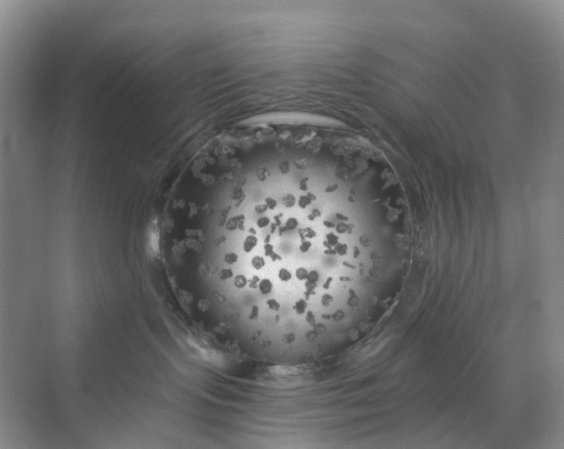 X0000075920095200609291836