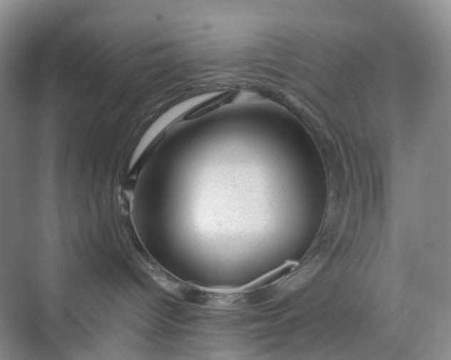 X0000075920096200609291836