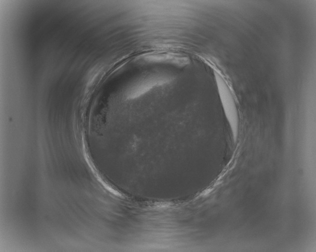 X0000075920097200609291835