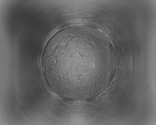 X0000075920099200609291835