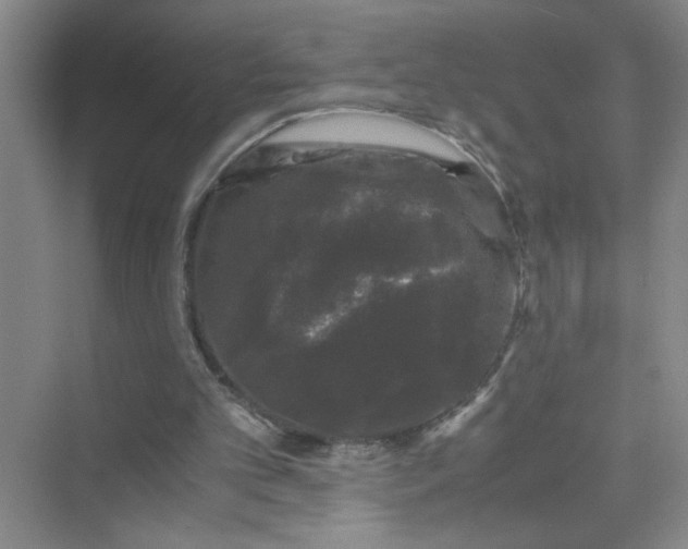 X0000075920101200609291835