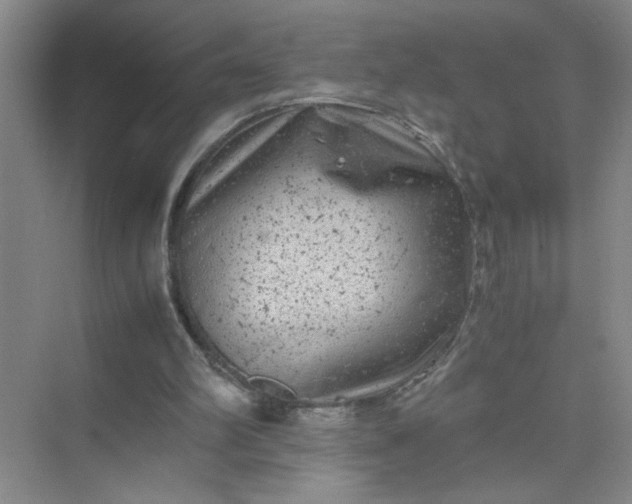 X0000075920102200609291835