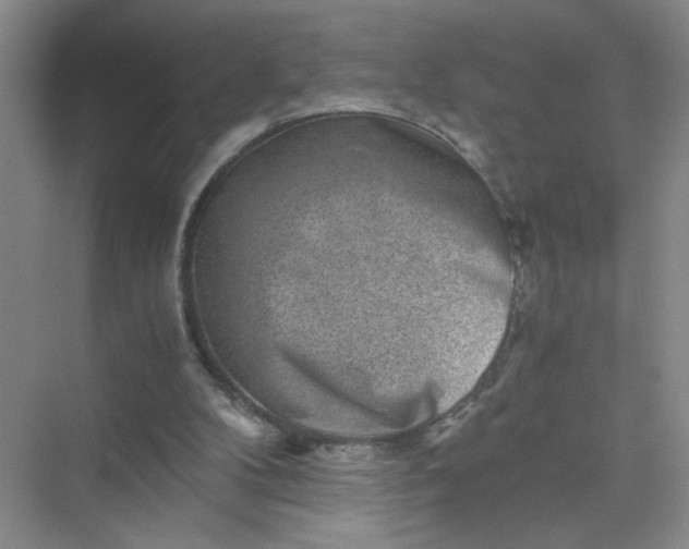 X0000075920104200609291835