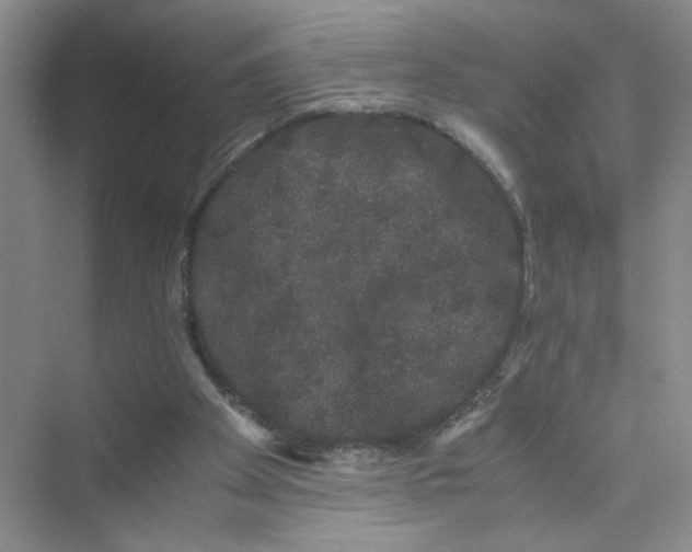 X0000075920105200609291835